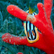 Nudibranch